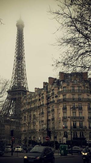 深圳网站建设优化截图1