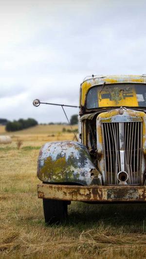 蜘蛛池租用价格表截图1