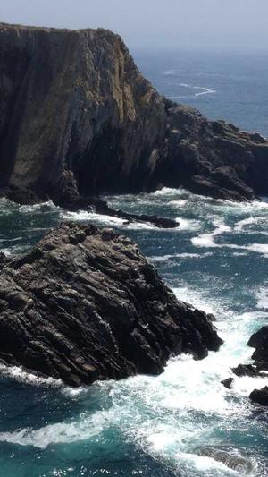 网站seo推广优化截图1