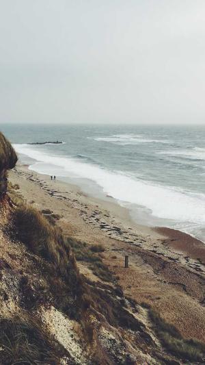 网站seo自动优化工具截图2