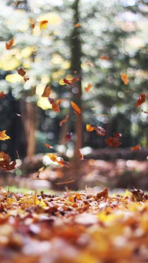 企业网站建设流程截图3