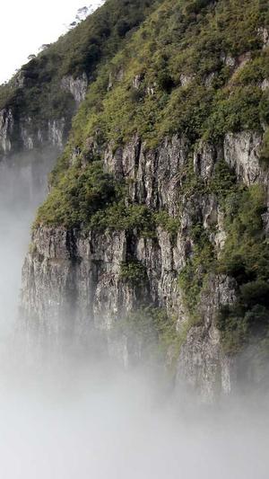 阿里蜘蛛池官方截图2