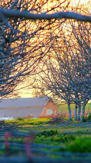 seo常用的工具截图3