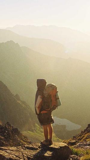 seo站长工具快速推广截图3