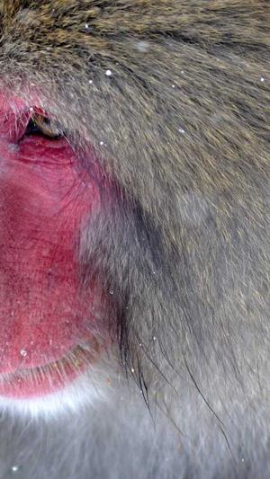 seo常用的工具截图1