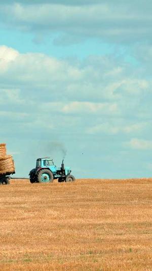 seo工具 网站优化截图5