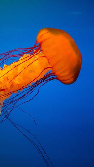 网站建设报价截图4