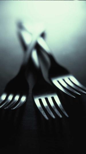 泛目录站群技术截图3