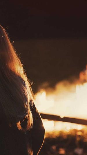 在线蜘蛛池出租平台截图2