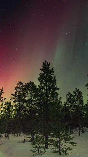 二级目录就是泛目录吗截图1