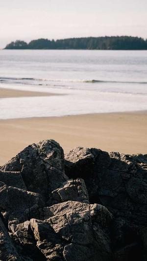 蜘蛛池价格全首zjkwlgs截图2