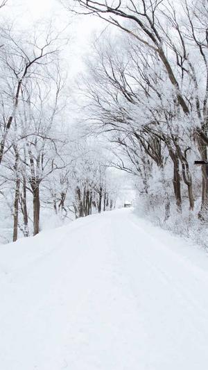 建设网站哪家好截图2