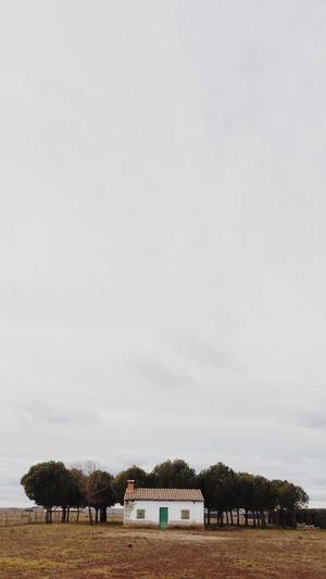 网站制作建设截图2