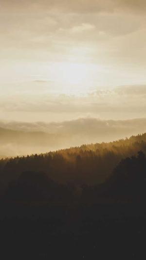 小旋风蜘蛛池x9破解版截图2