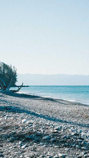 seo自动推广工具信息流截图1