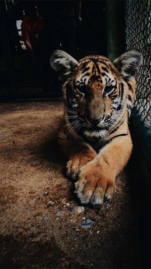 株洲网站建设截图1