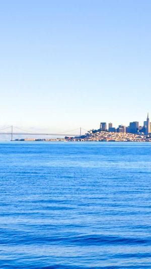 seo自动推广工具信息流截图2