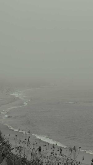 超级蜘蛛池用着怎么样截图5