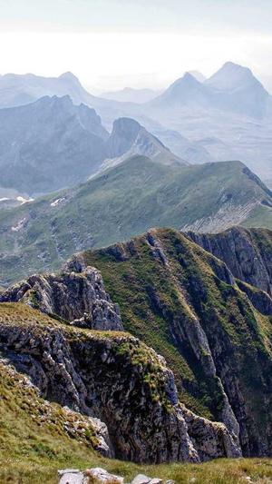 引擎优化seo截图1