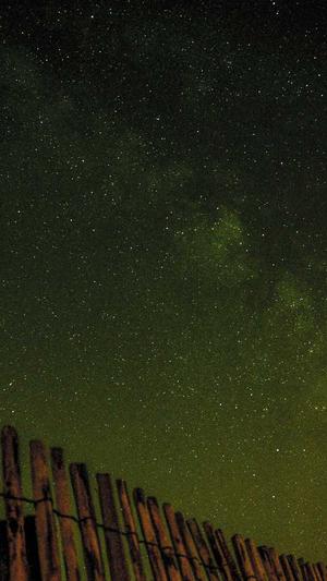 逆冬蜘蛛池课程截图3