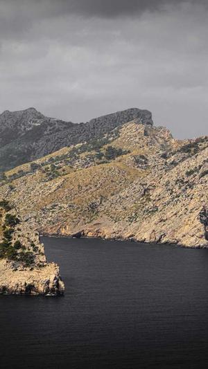 超级蜘蛛池引蜘蛛软件截图3