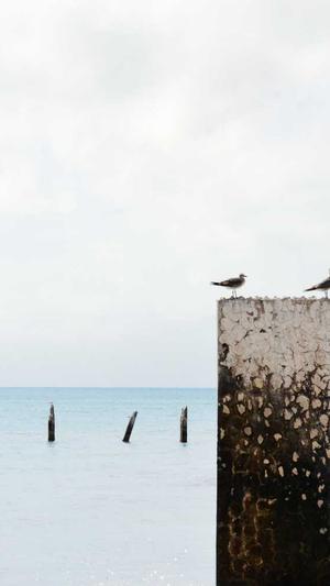 360站长工具seo截图3