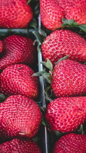 网站建设属于什么专业截图2