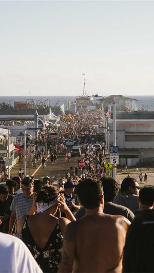 蜘蛛池有用截图1