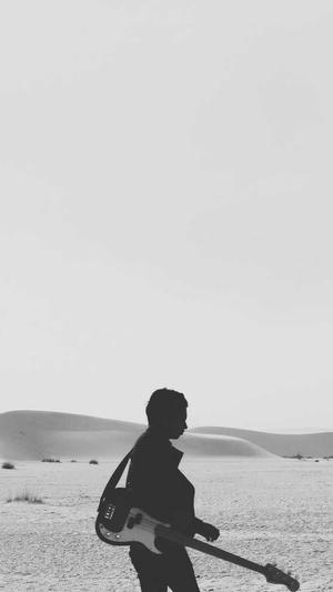 神马蜘蛛池租用找哪家截图1