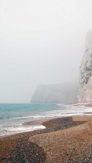 蜘蛛池要用多少域名截图2