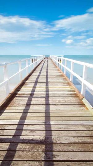 蜘蛛池程序php截图1