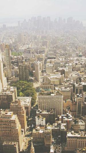 泛目录怎么做seo教程截图4