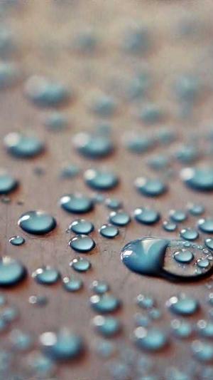 廊坊网站建设截图3