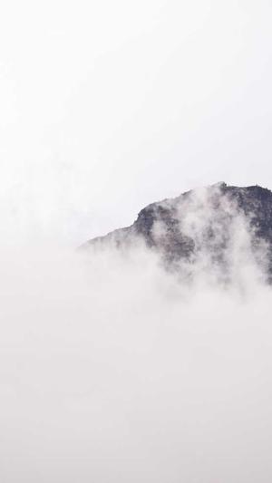 免费百度蜘蛛池小说截图1