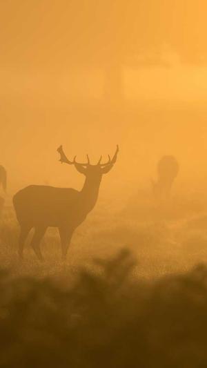 蜘蛛池租用托管截图4
