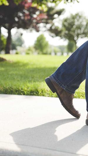 快速seo工具截图2