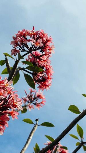 蜘蛛矿池地址截图1