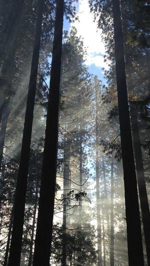 seo泛目录怎么操作发帖截图5